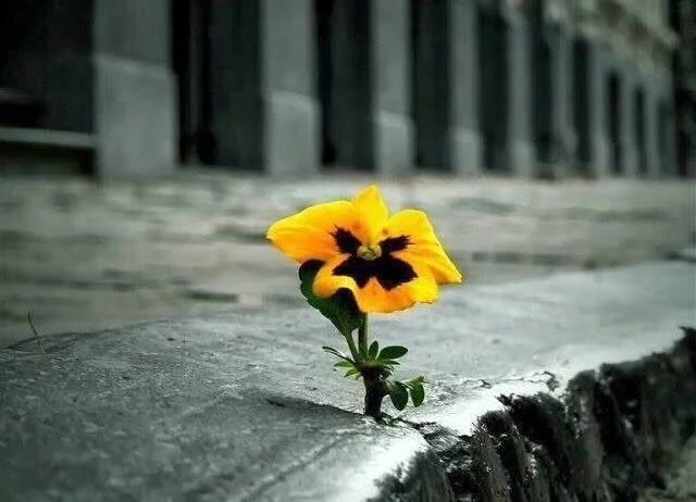 image_5795488051516686334511.jpg?type=w1200