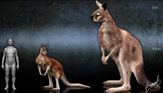 giant-kangaroo.jpg?type=w1200
