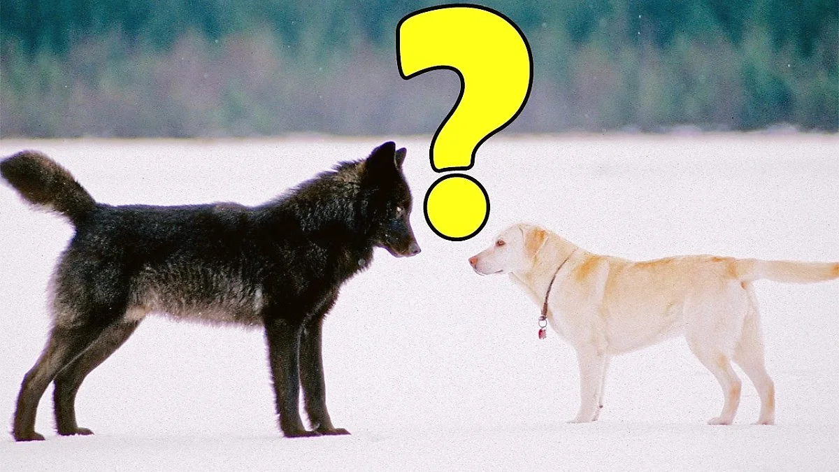 image_5032409021504061187104.jpg?type=w1200