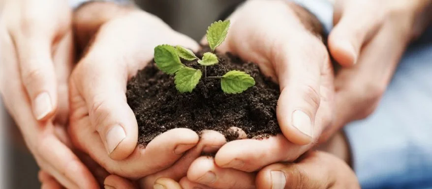 social-enterprise.jpg?type=w1200