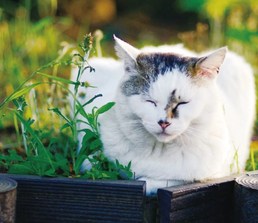 KakaoTalk_20160810_180429037.jpg?type=w1200