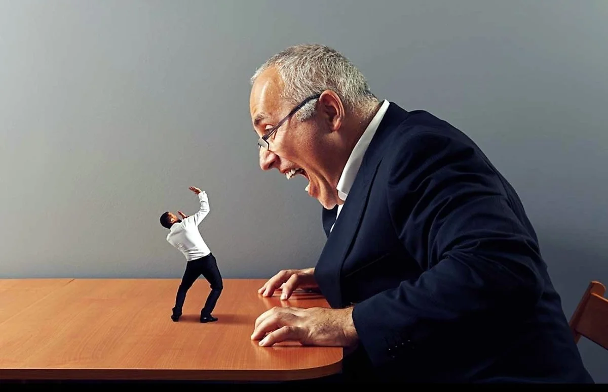 image_8757408371520574765858.jpg?type=w1200