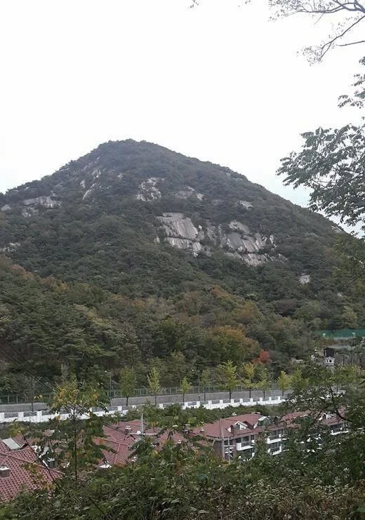 image_9733214531516603617455.jpg?type=w1200