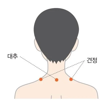 image_1039820961479099639157.jpg?type=w1200