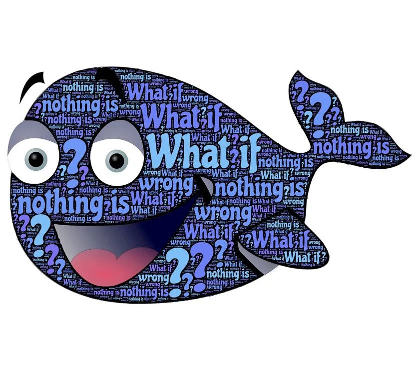 KakaoTalk_20161227_100948823.jpg?type=w1200