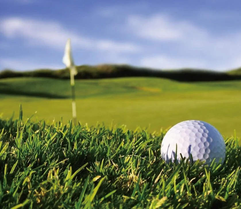 KakaoTalk_20160811_104331301.jpg?type=w1200