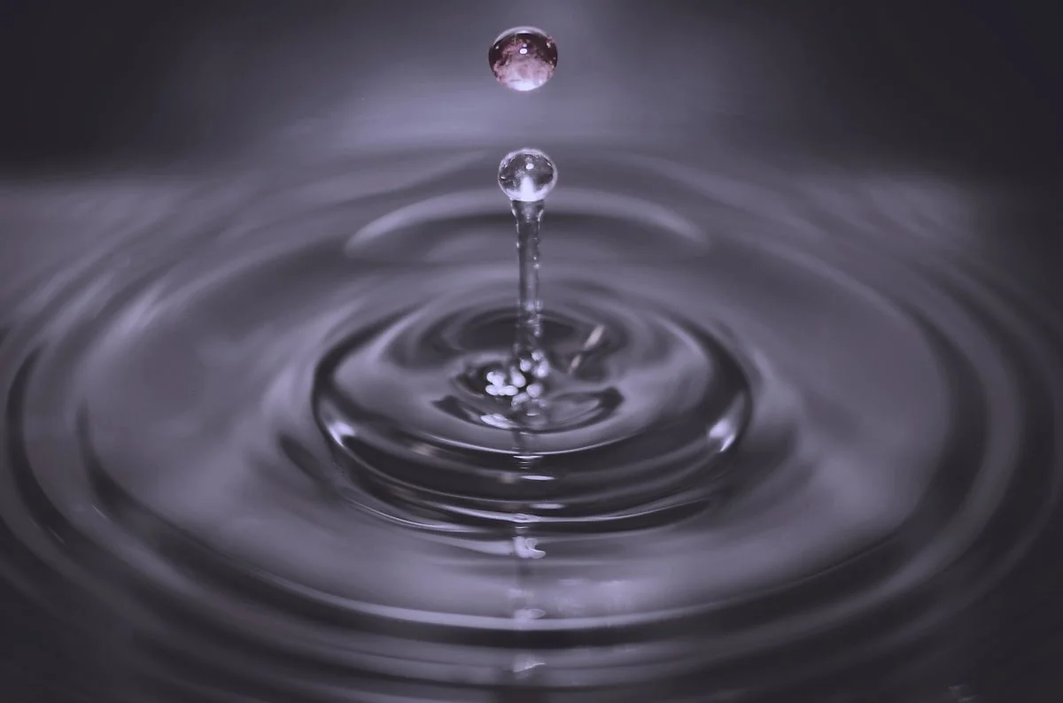 image_6146709711484213727373.jpg?type=w1200