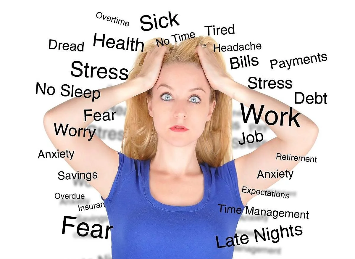 image_8591116851515027291499.jpg?type=w1200