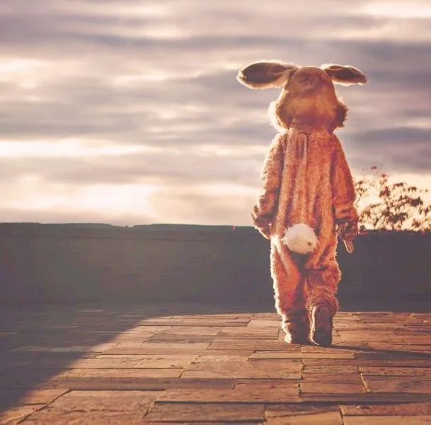 image_2517627451496643616199.jpg?type=w1200