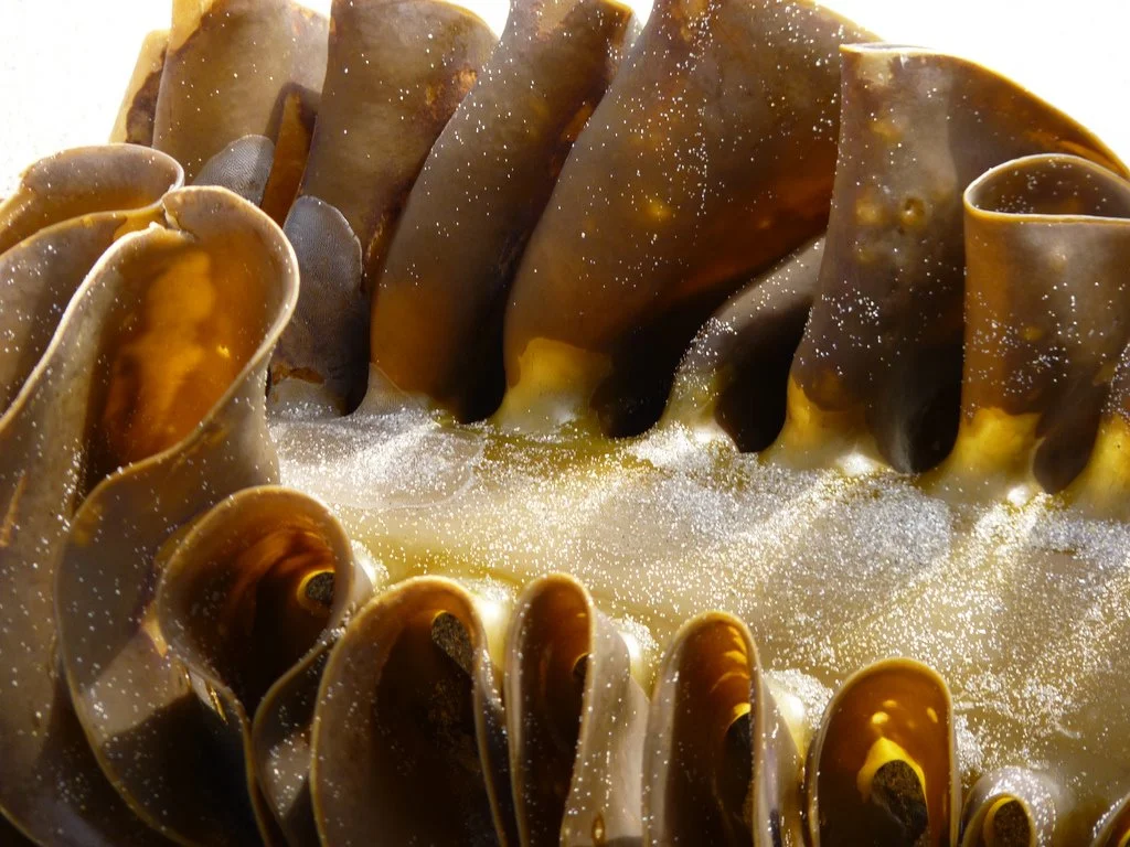 6116018119_0d1b8e4d12_b.jpg?type=w1200