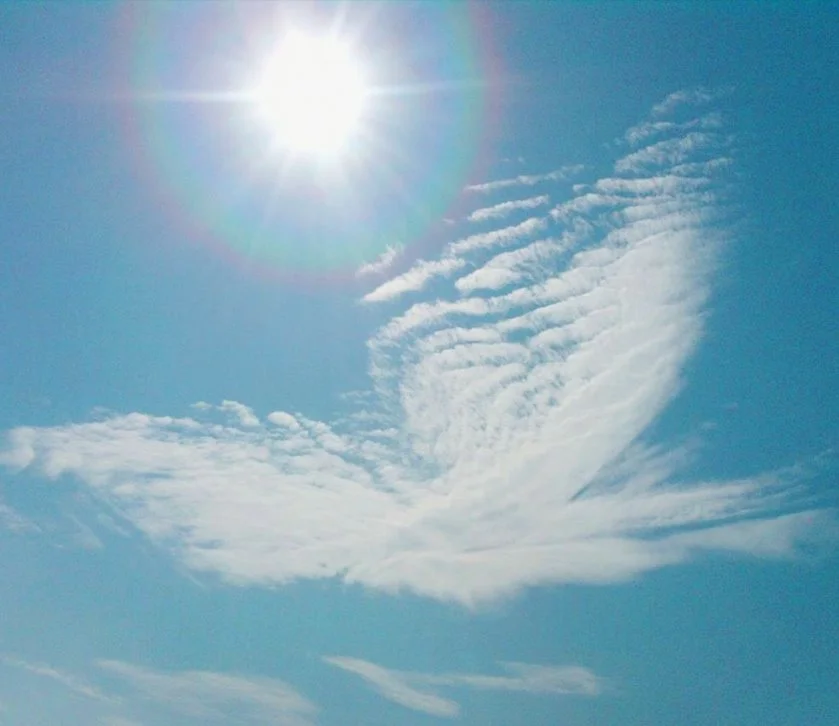 KakaoTalk_20160919_132251037.jpg?type=w1200