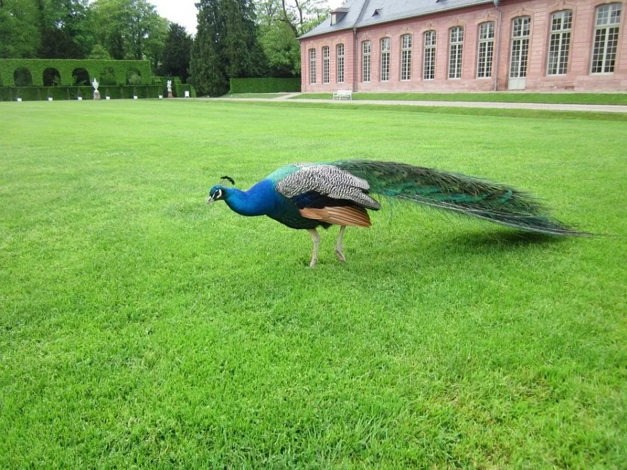 196a05b0971b98c4e72712445f2d23d8.jpg?type=w1200