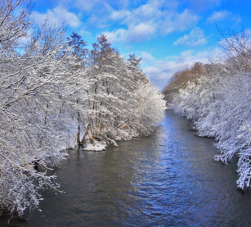 KakaoTalk_20161230_102922974.jpg?type=w1200