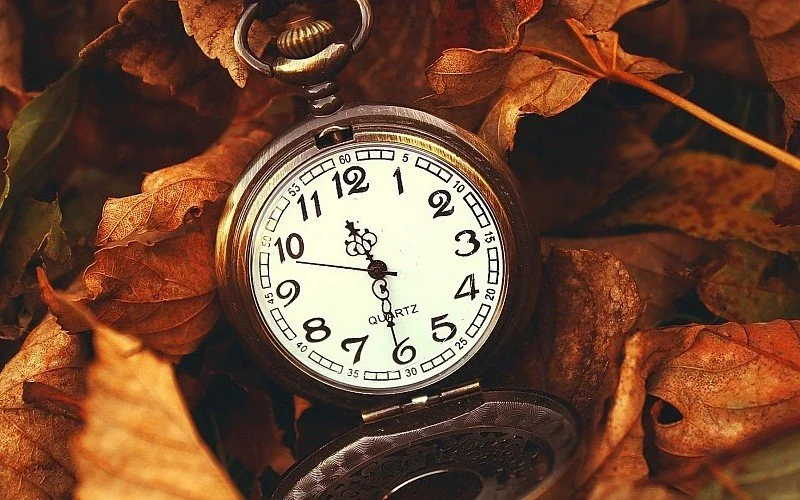 autumn-fall-landscape-nature-tree-forest-leaf-leaves-time-watch-pics-351046.jpg?type=w1200