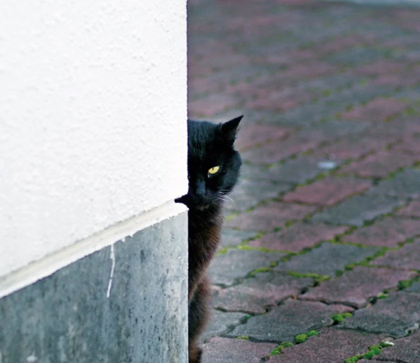 KakaoTalk_20160831_170641736.jpg?type=w1200