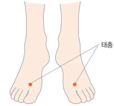 image_8045024841476843159599.jpg?type=w1200