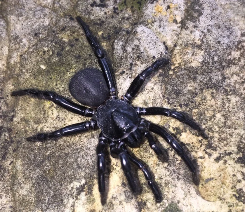 KakaoTalk_20160929_115020648.jpg?type=w1200