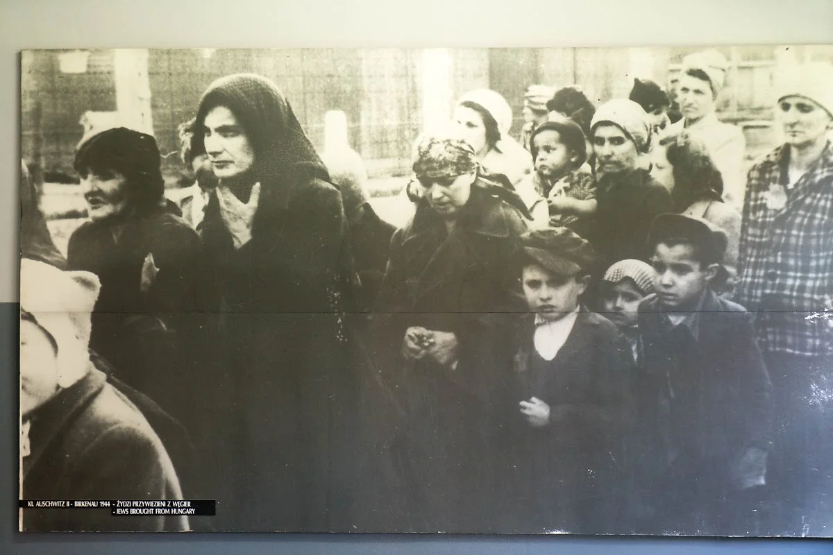 26528238315_8144eaf9c3_o.jpg?type=w1200