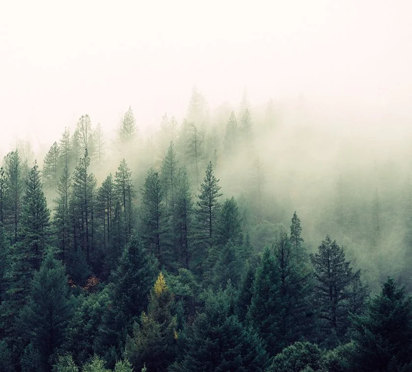 %EC%84%AC.jpg?type=w1200