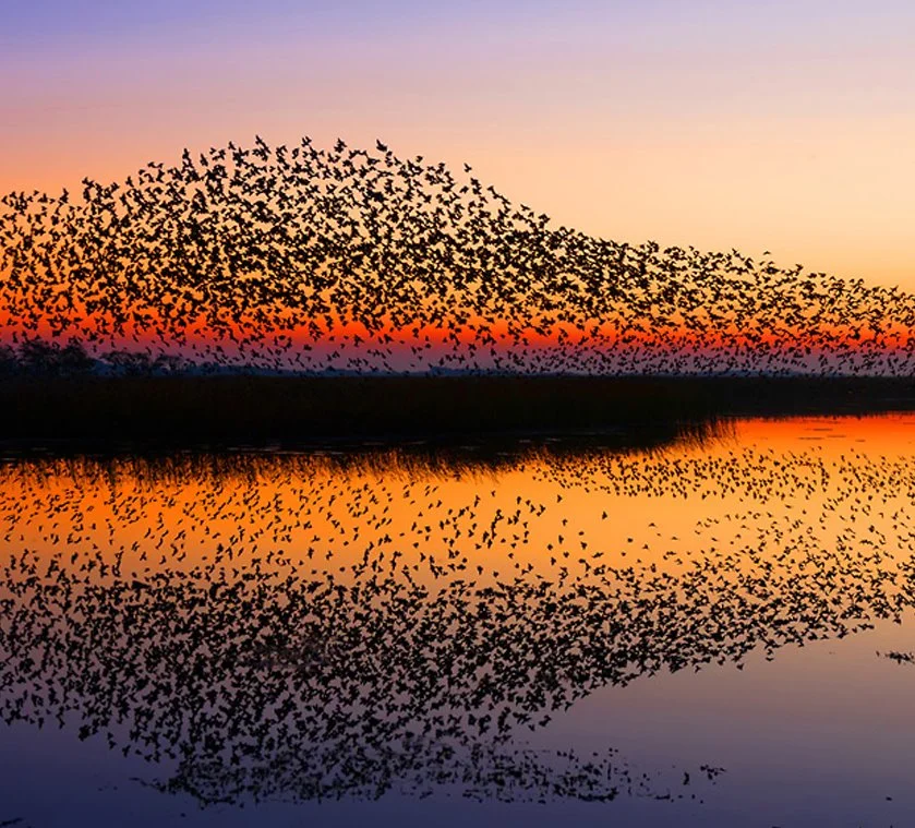 KakaoTalk_20161206_154618973.jpg?type=w1200