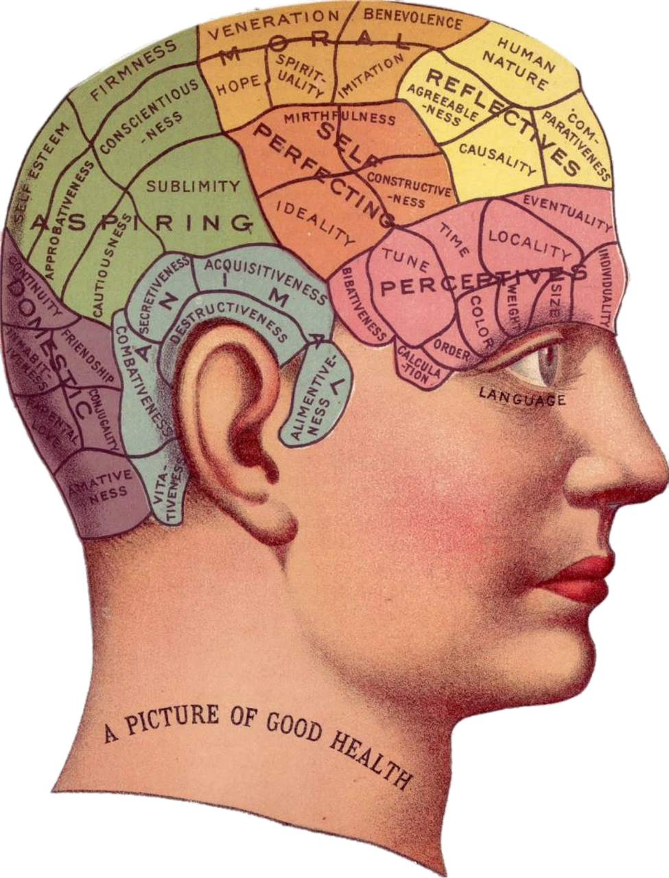 vintage-1418613_1280.png?type=w1200