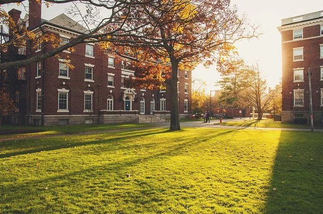 quad-lawn3.jpg?type=w1200