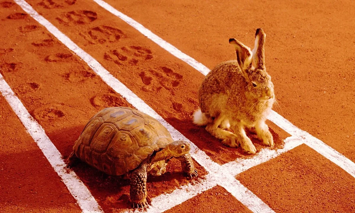 image_9298563941522054321158.jpg?type=w1200