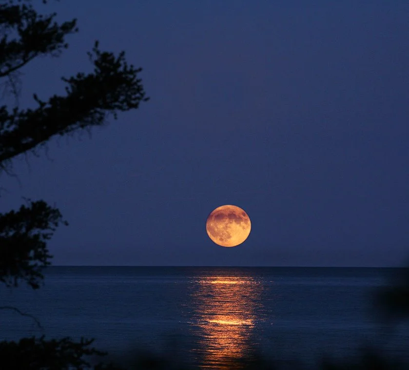 KakaoTalk_20161230_102914477.jpg?type=w1200