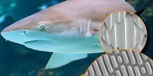 image_7017242881502692702812.jpg?type=w1200