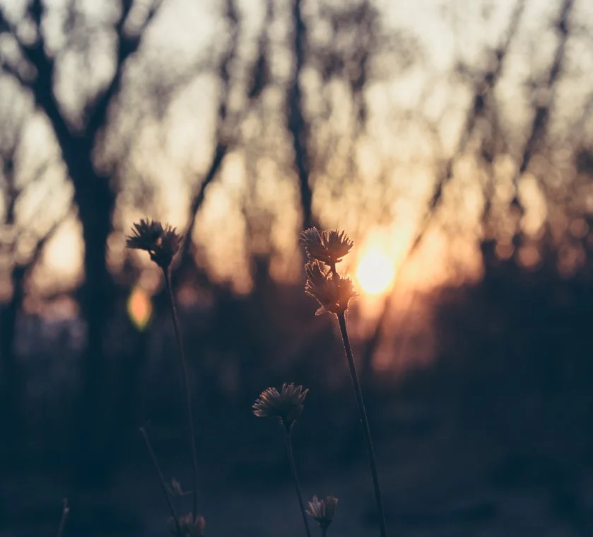 %EC%84%AC.jpg?type=w1200