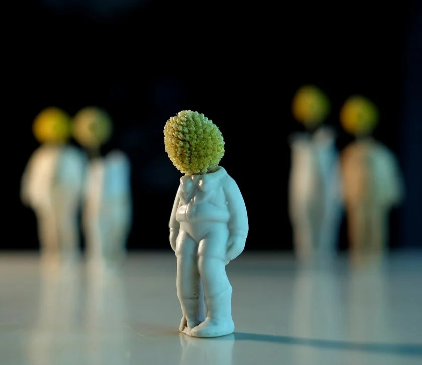 %BC%B6%B3%D7%C0%CF.jpg?type=w1200