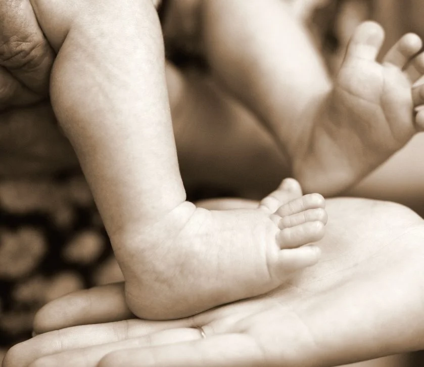 fffffffffffffff%BC%B6%B3%D7%C0%CF%C3%D6%C1%BE_ffffffffff.jpg?type=w1200