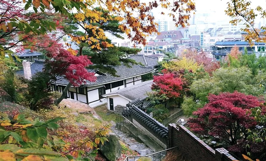 image_1887417031516784012961.jpg?type=w1200