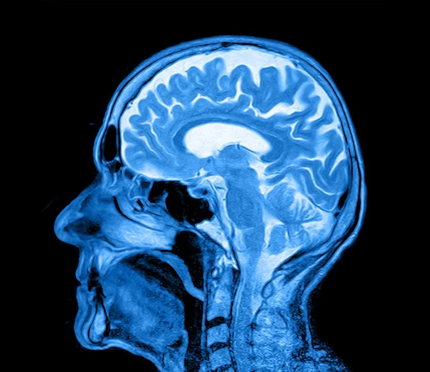 %EC%84%ACF.jpg?type=w1200