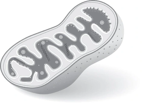 %EC%98%81%EA%B1%B0%ED%8F%AC%EC%8A%A4%ED%8C%85%EC%9A%A9%EC%9D%B4%EB%AF%B8%EC%A7%80%2802%29.jpg?type=w1200