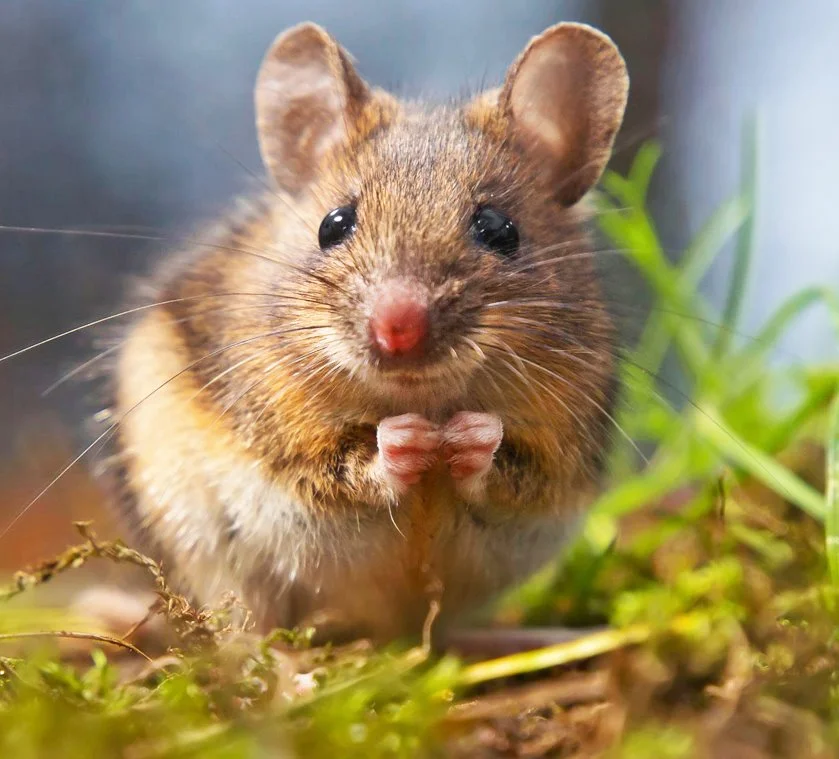 KakaoTalk_20161109_102929372.jpg?type=w1200