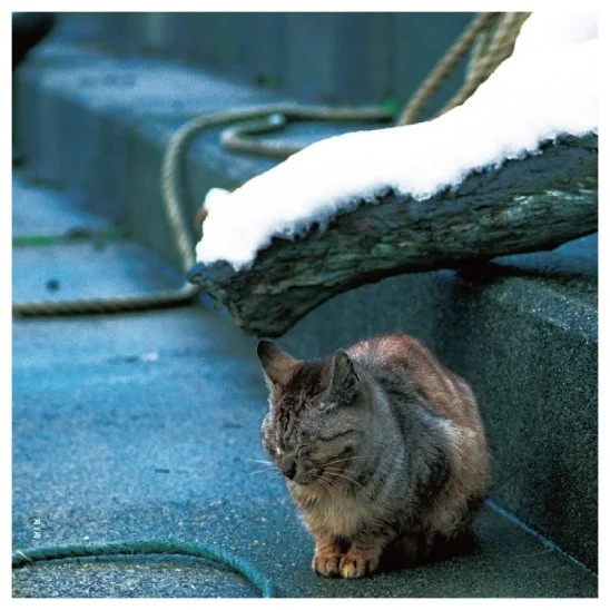 20160804%B0%ED%BE%E7%C0%CC.jpg?type=w1200