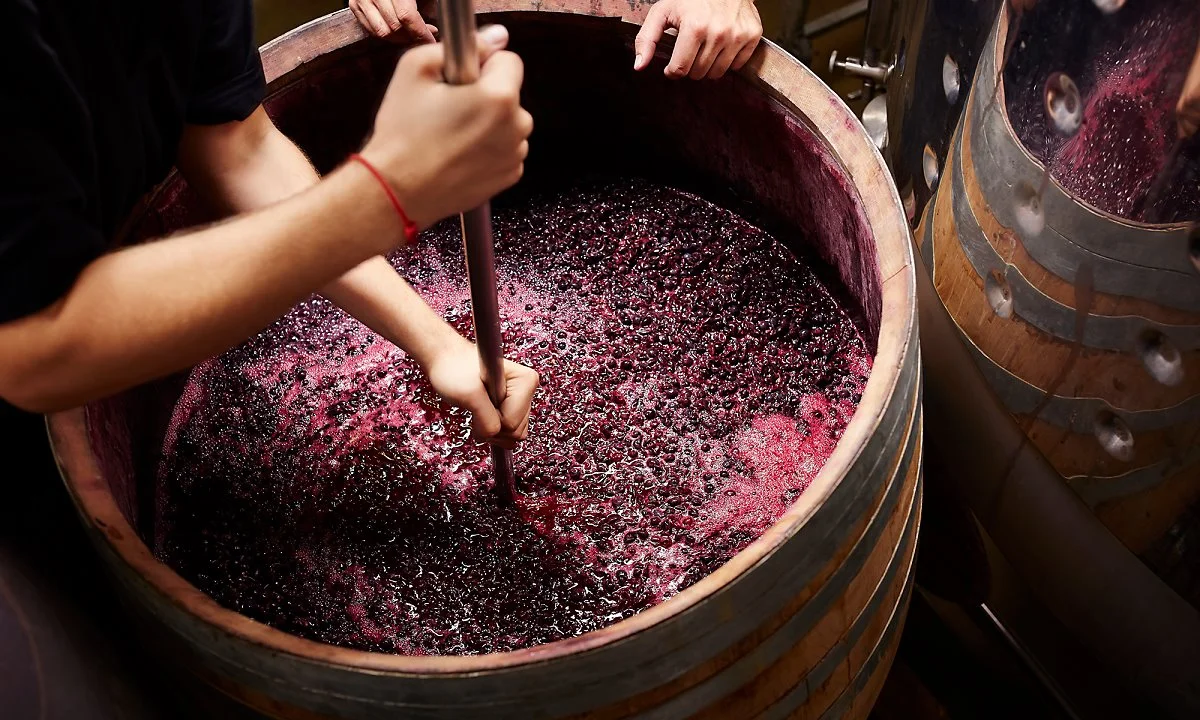 winemaking-526617659.jpg?type=w1200