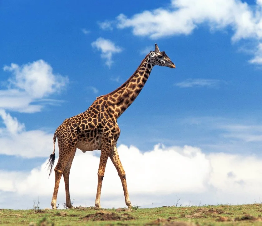 KakaoTalk_20161028_102803337.jpg?type=w1200