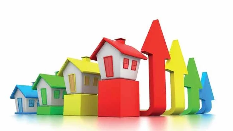 image_6955080041503050738284.jpg?type=w1200