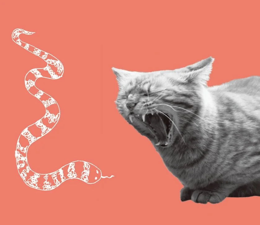 KakaoTalk_20160824_145112264.jpg?type=w1200