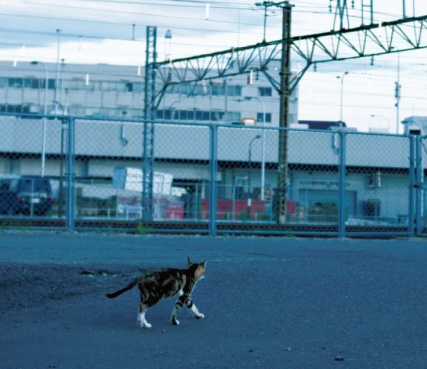 KakaoTalk_20160809_180415712.jpg?type=w1200