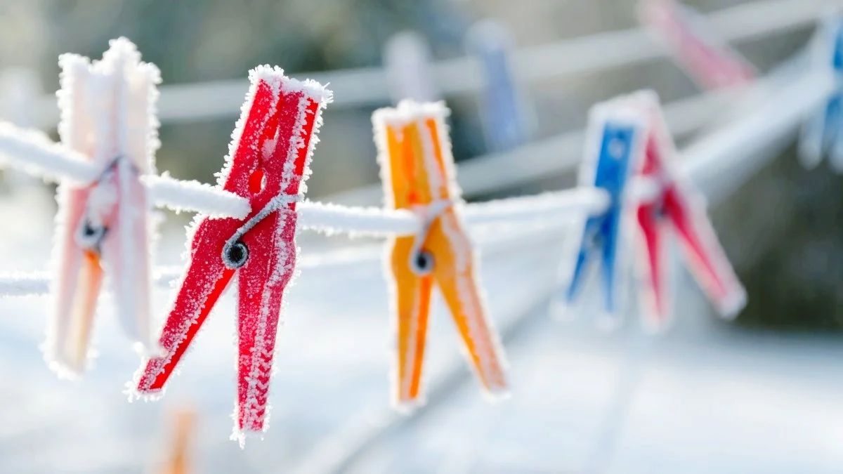 image_6513344501516078549092.jpg?type=w1200