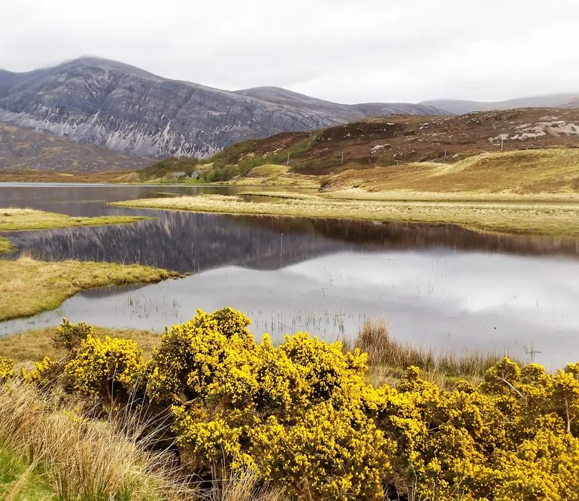 fffffffffffffff%BC%B6%B3%D7%C0%CF%C3%D6%C1%BE_ffffffffff.jpg?type=w1200