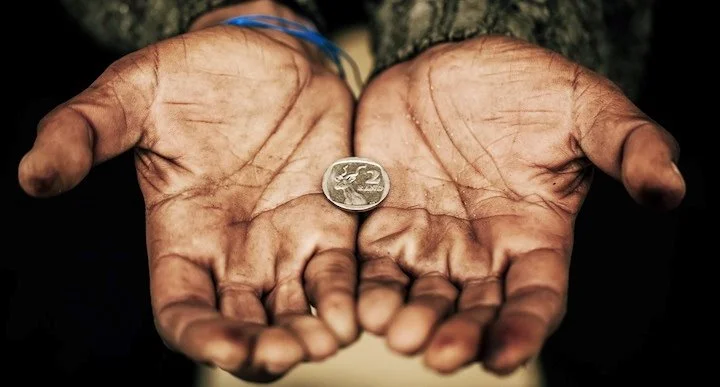 image_5359214021517278712556.jpg?type=w1200