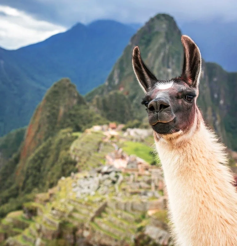 image_5570649021483601758409.jpg?type=w1200