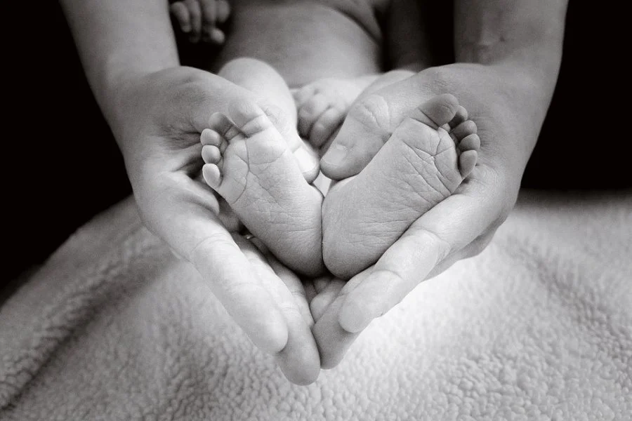 image_8342533811500280939042.jpg?type=w1200