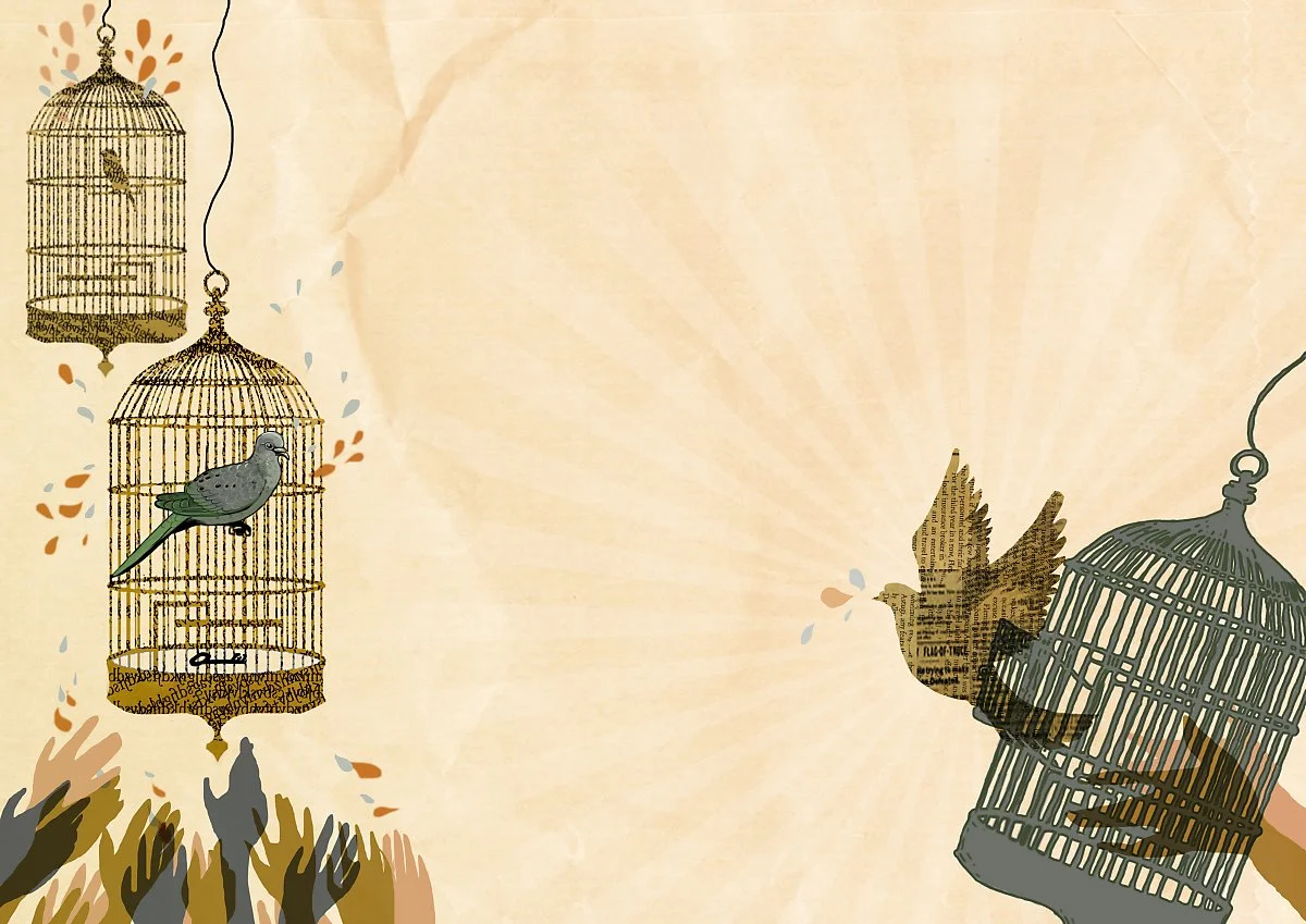 dovecage2.jpg?type=w1200