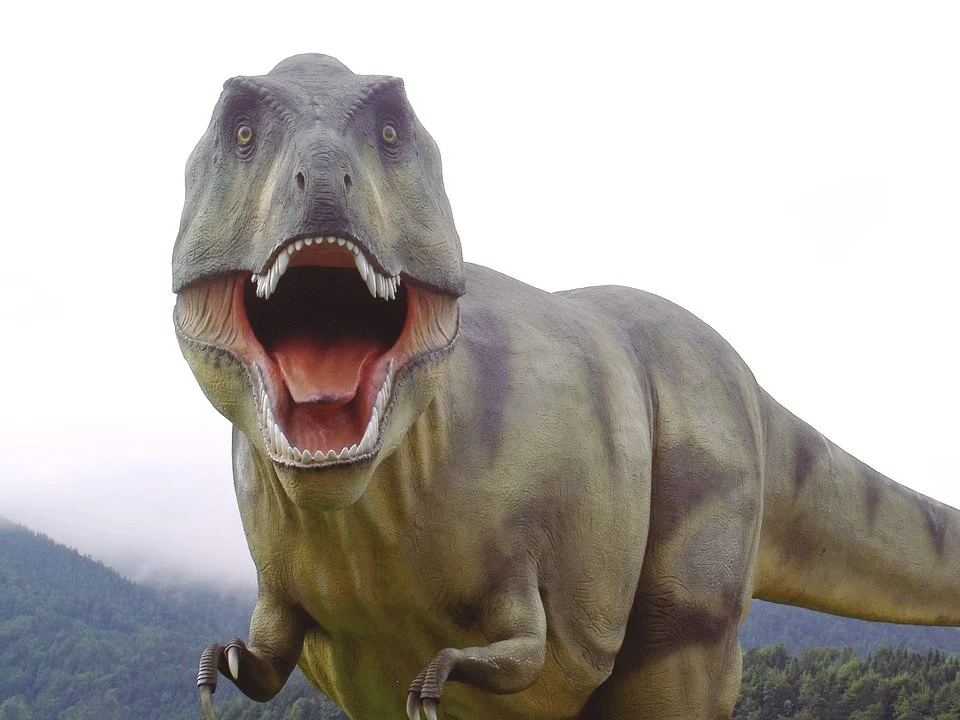 image_5600753971495702860306.jpg?type=w1200