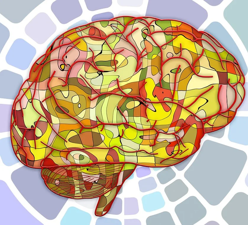 KakaoTalk_20161118_100533107.jpg?type=w1200